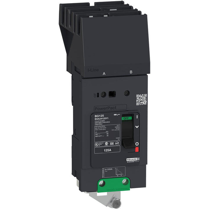 Schneider Electric BDA24060Y4 - 60A 2-Pole Molded Case Breaker
