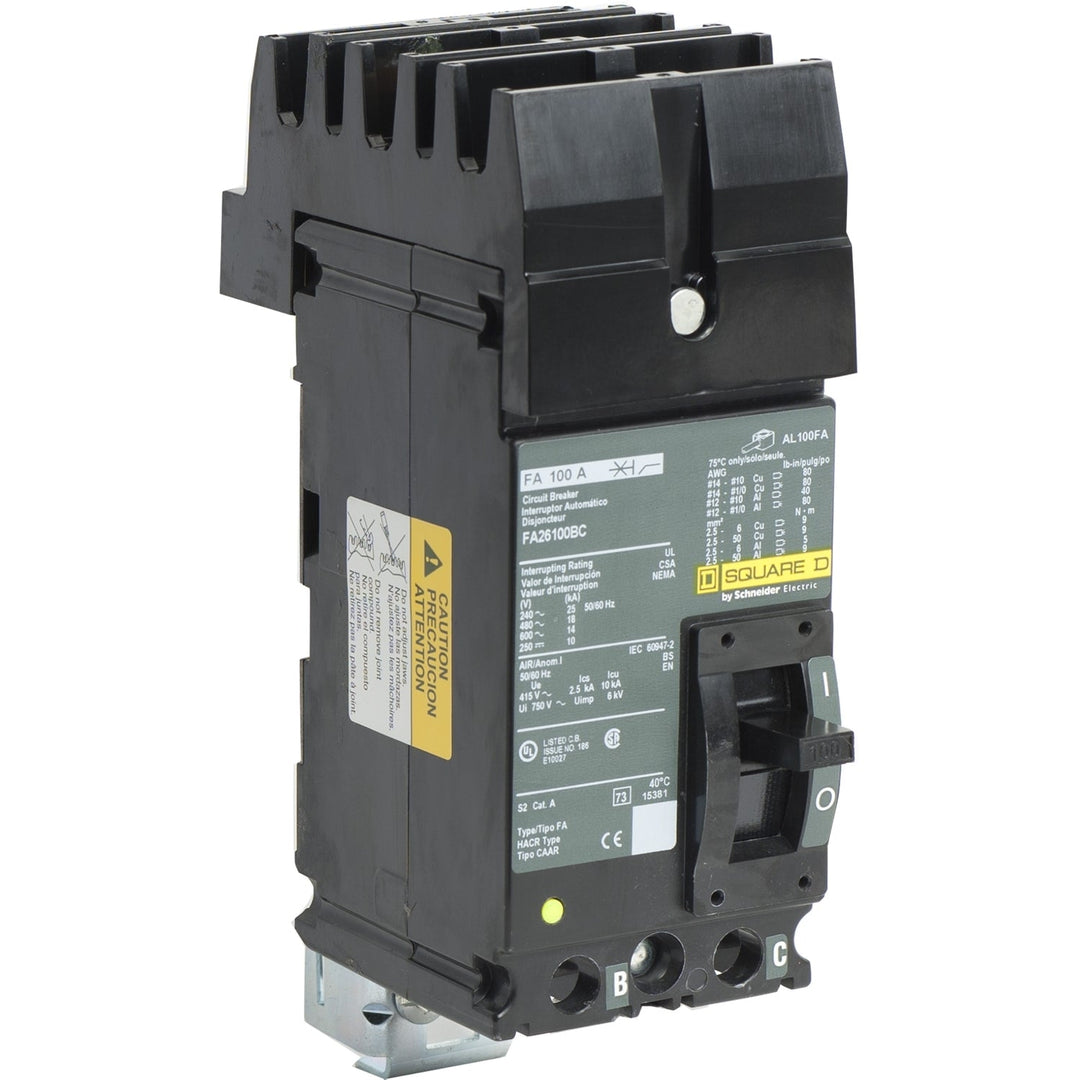 Square D FA26100BC - Molded Case Circuit Breaker, 100A, 600V