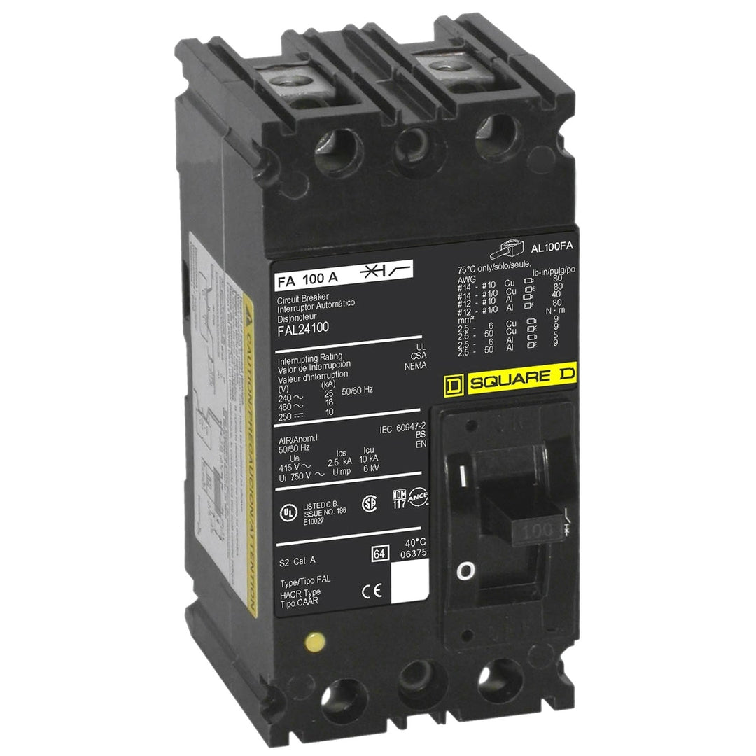 Square D FAL24100 - Molded Case Circuit Breaker, 100A 480V 2-Pole