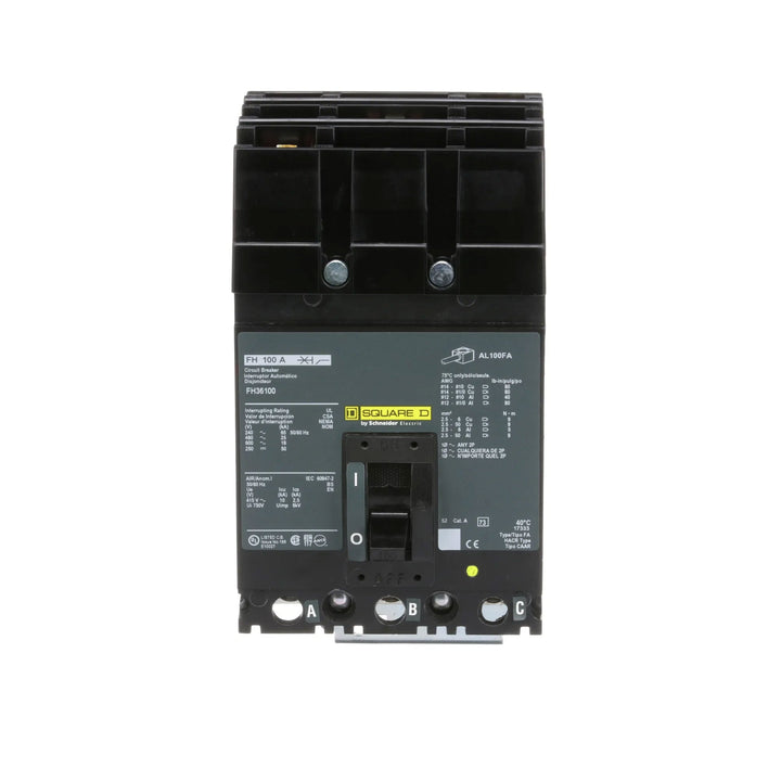 Square D FH36100 - Molded Case Circuit Breaker, 100A 600V 3-Pole