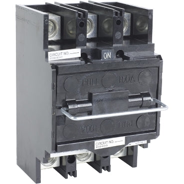 Square D FTL3100 - Fusible Disconnect Switch 3P 100A (100kA@240V)