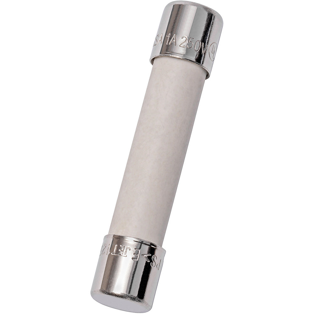 Ferraz Shawmut GSA1 - Low Voltage Time-Delay Fuse 1A@250V (35A AIC)