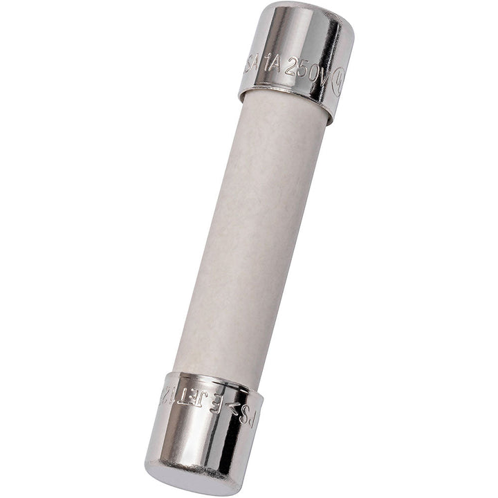 Ferraz Shawmut GSA20 - Time-Delay Fuse 20A@250V (400A AIC)