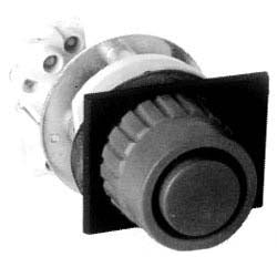 Eaton N2PS1211R - Momentary Contact Control Station NEMA 3 4X 7 12