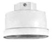 Appleton VMA75 - Vaporproof Lighting Accessory (12.13 lb)