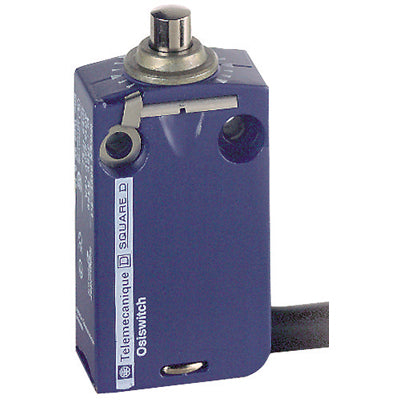 Telemecanique XCMD2110L2 - Limit Switch 240V (CE/CSA/UL Certified)