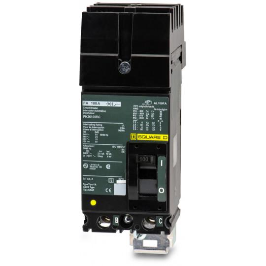 Square D FH26100BC - Molded Case Circuit Breaker 100A 600V 2-Pole